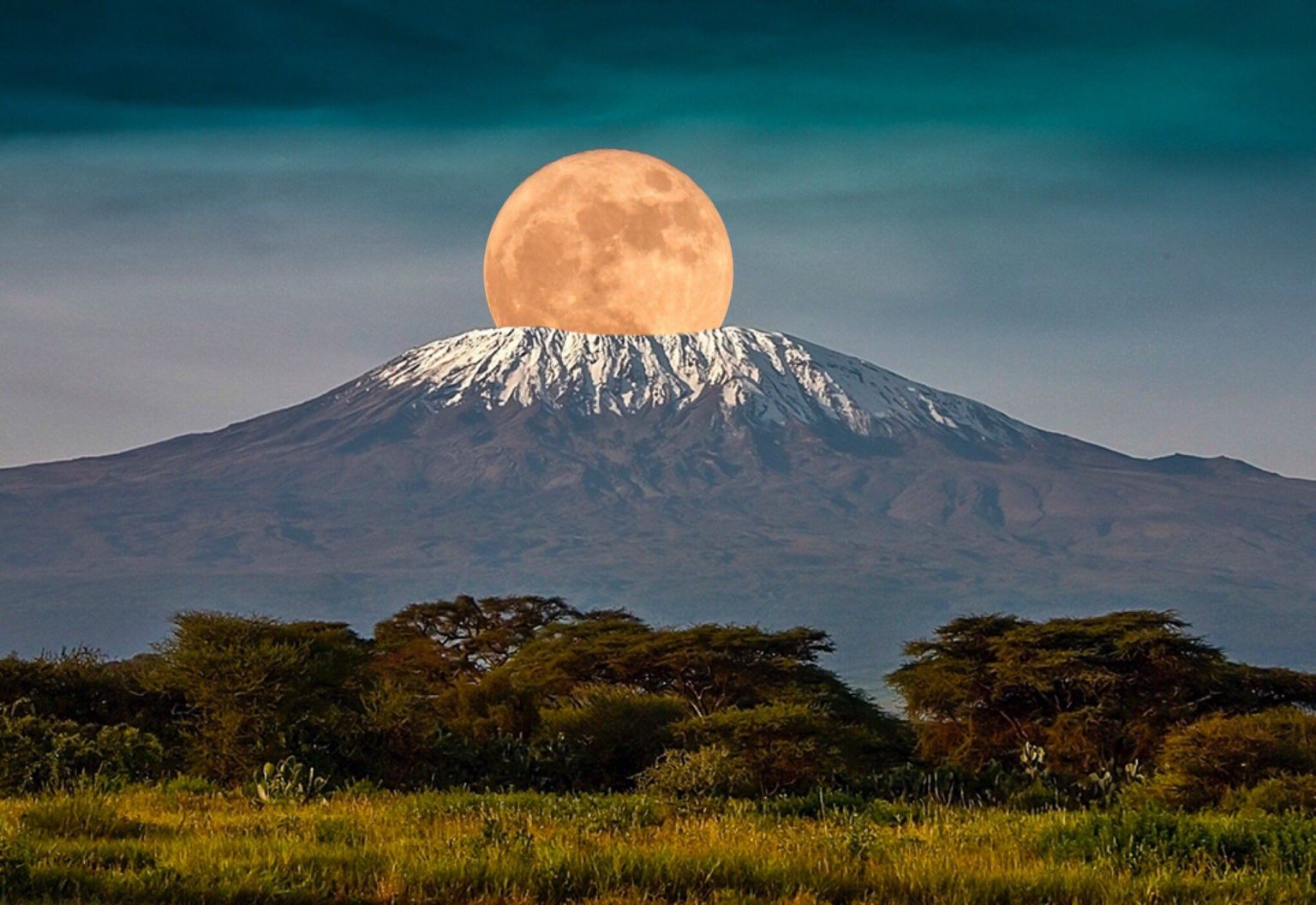 1-DAY TRIP MOUNT KILIMANJARO