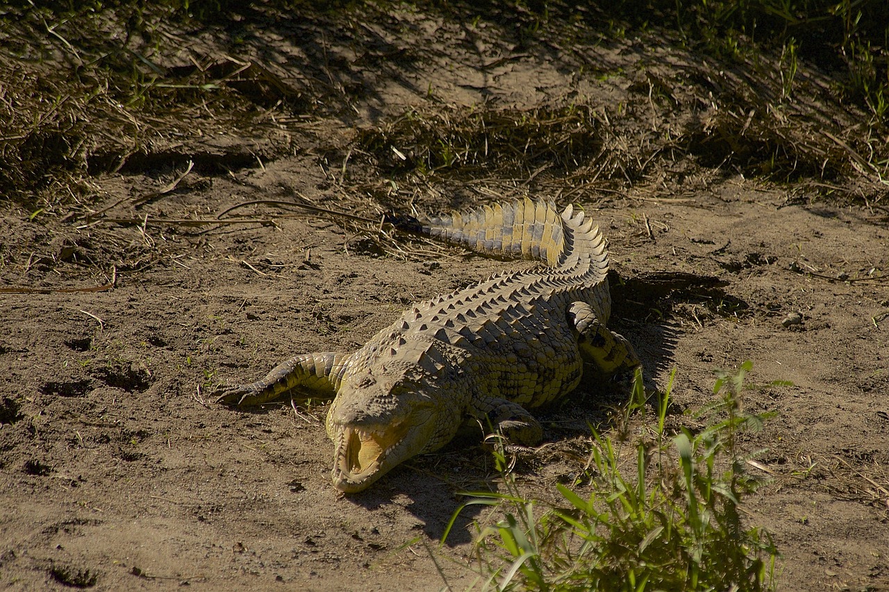 TANZANIA DESTINATION