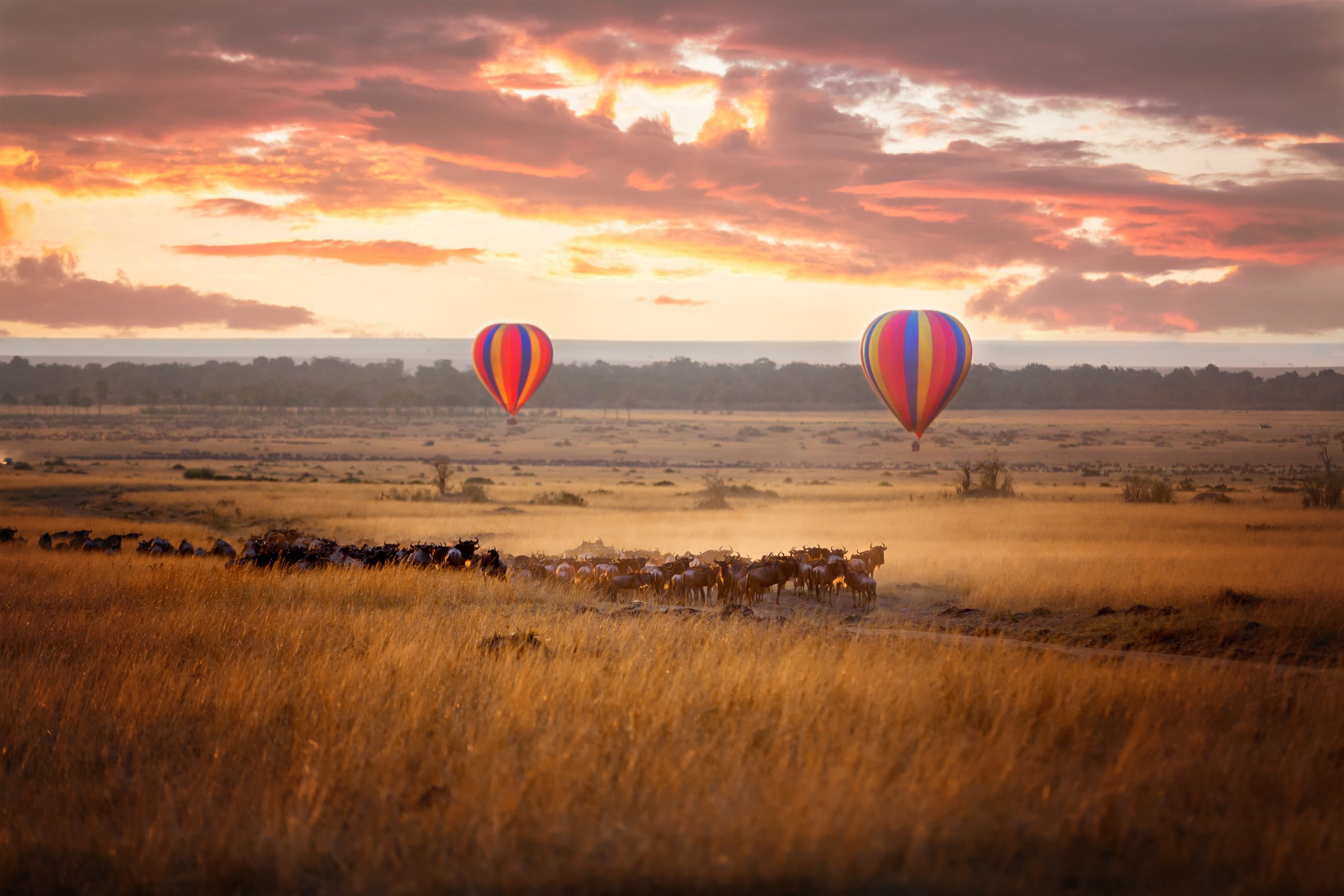 NORTHERN TANZANIA HOT AIR BALLOON SAFARI